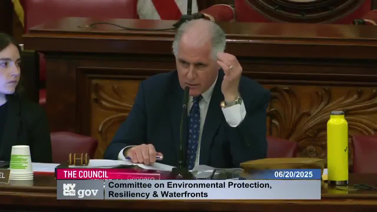 Queens Councilman discusses urban forest preservation and zoning for old growth trees