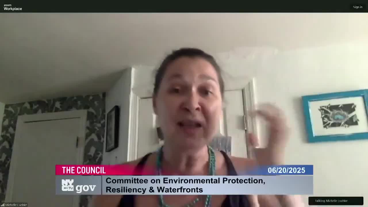 SWIM Coalition advocates for green roofs and stormwater rule in New York City