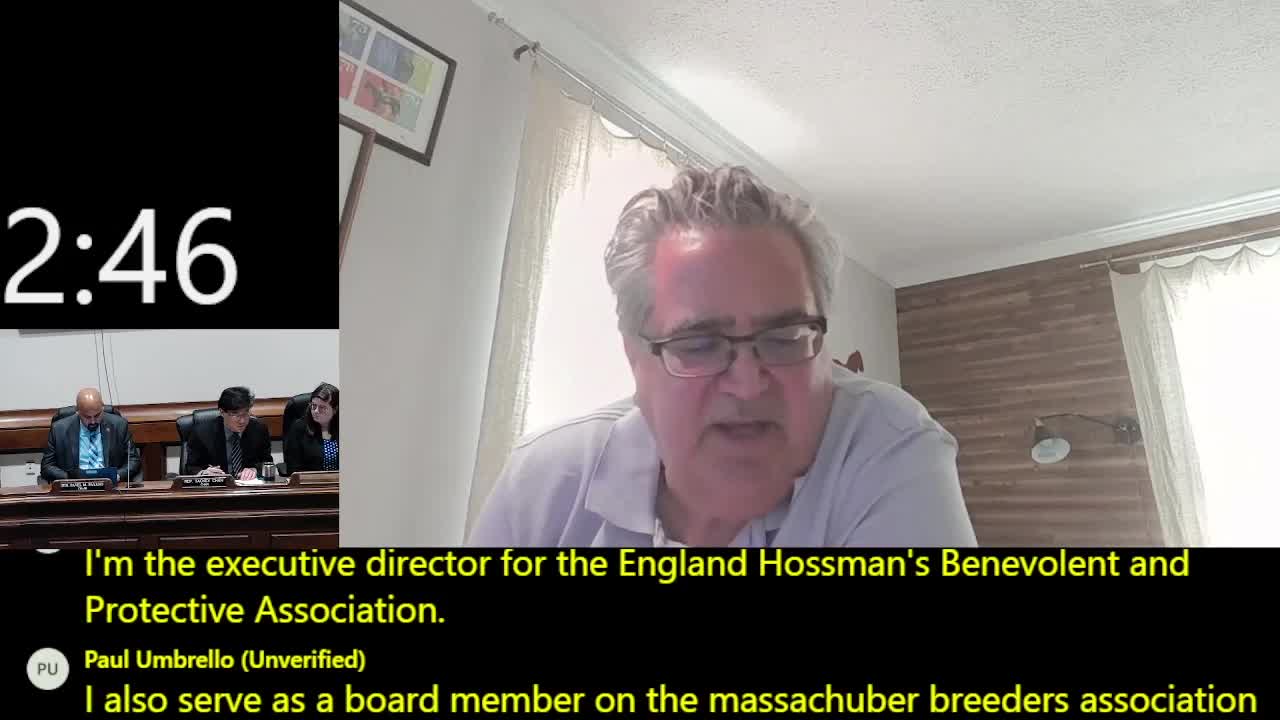 Horse industry leaders oppose proposed bills threatening racing and equine welfare