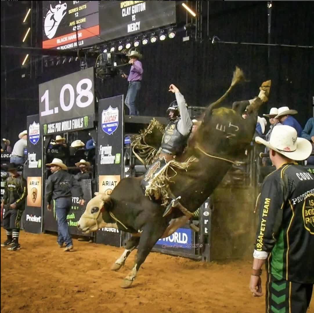 Bad Bulls Rodeo features powerhouse bull Black Harbor and special grand entry surprise