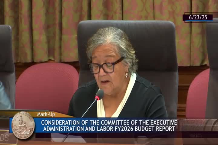 DC committee recommends approval of FY '26 budget cuts totaling $15 million