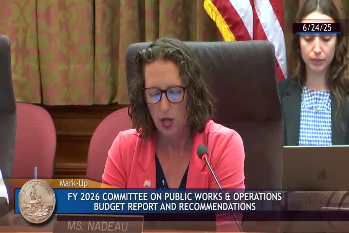 Public Works Committee approves significant DPW budget enhancements for city cleanliness