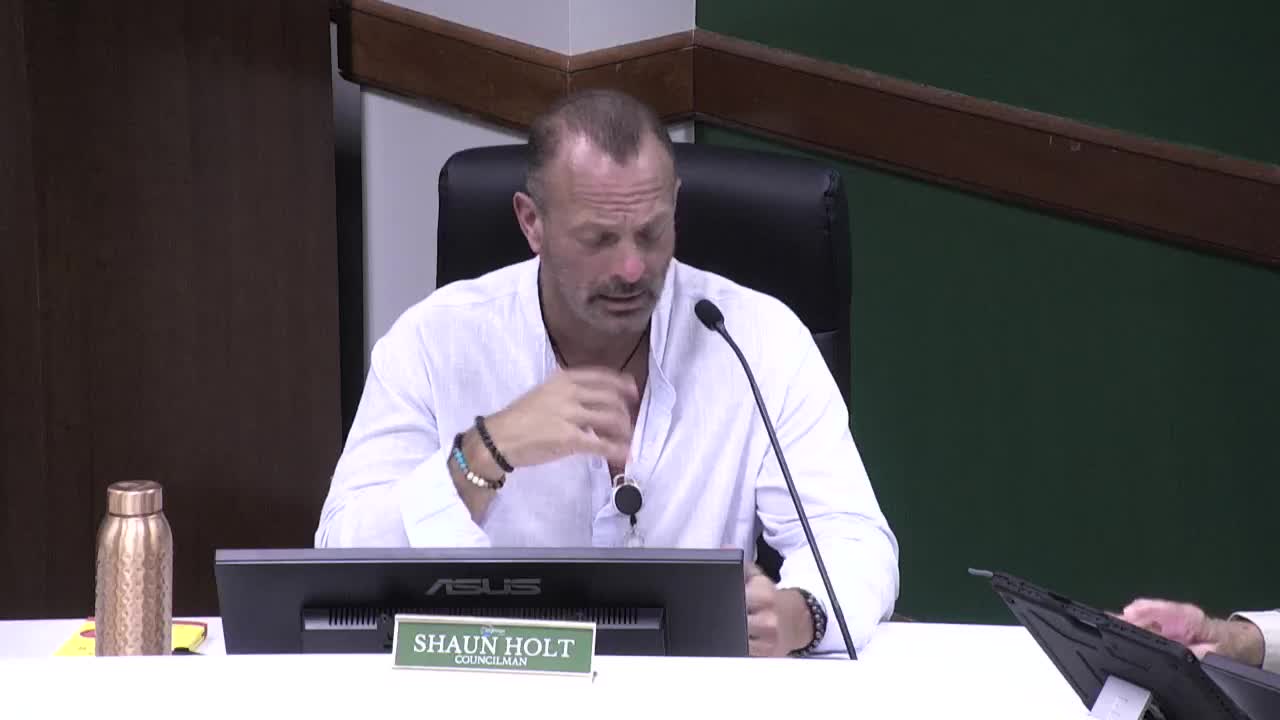 Dickinson Council debates fireworks regulations amid business attraction concerns