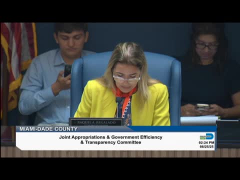 Miami-Dade Commission prioritizes government efficiency amid budget challenges