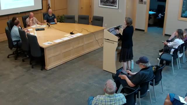 Galena planning commission backs comprehensive plan, adds amendments on emergency services, housing language and access study