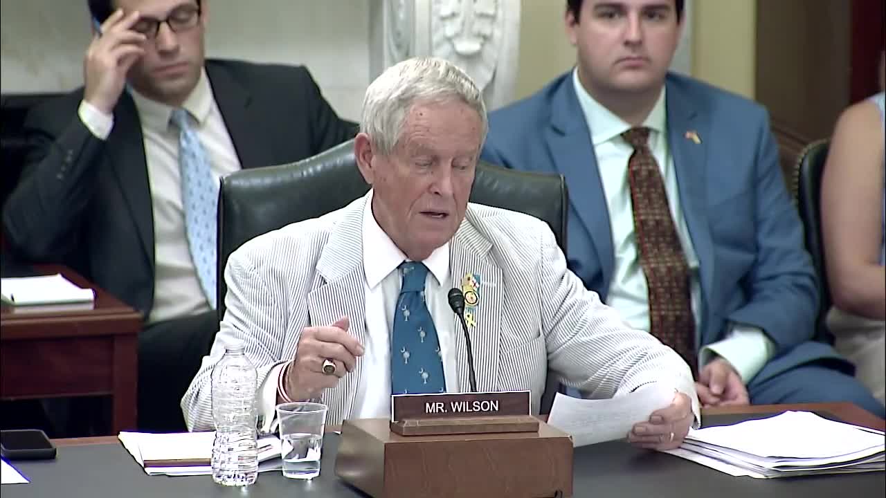 US Congress examines Chinese influence and Russian aggression in Georgia
