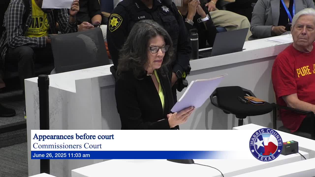 Michael Schafer urges Harris County judges to address flooding recovery challenges