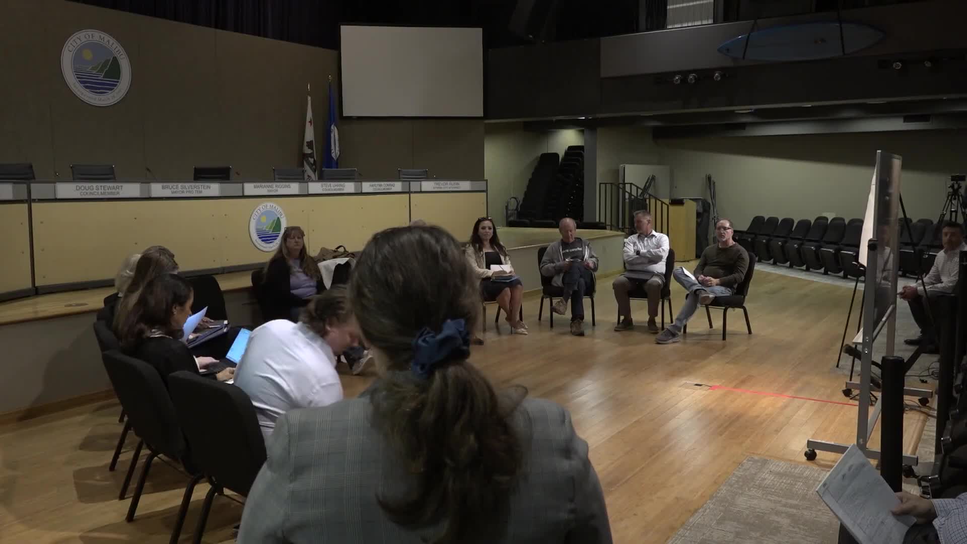 Film Society proposes civic theater renovation to enhance community arts access