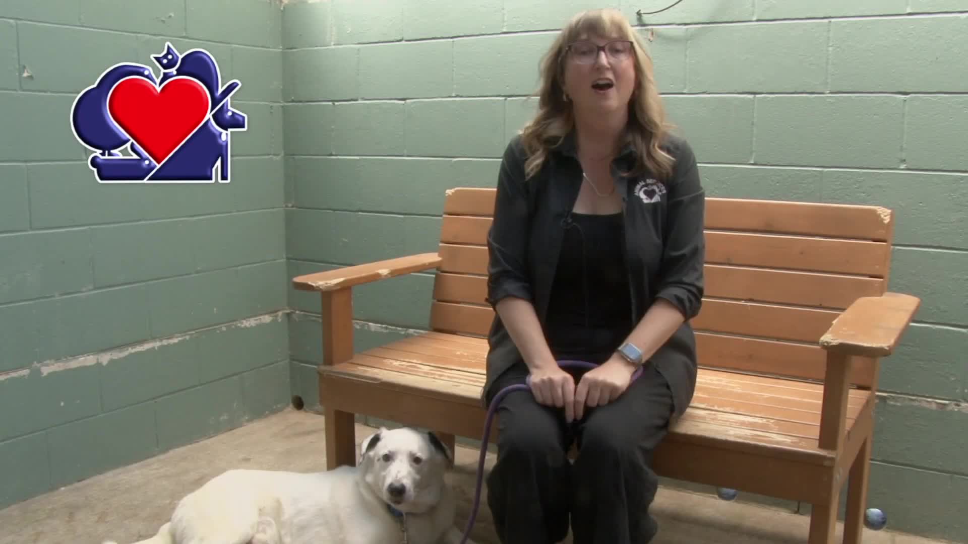 Legislators secure $1M for Thurston County animal services facility