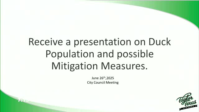 Parks Department proposes duck population management plan addressing Muscovy duck overpopulation