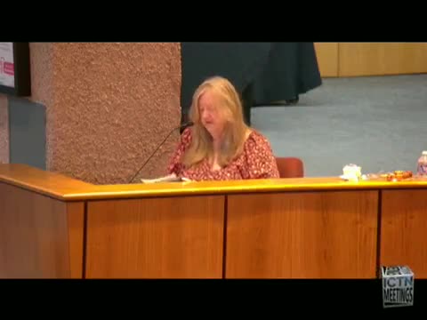 Irving residents advocate for homelessness solutions during city council meeting