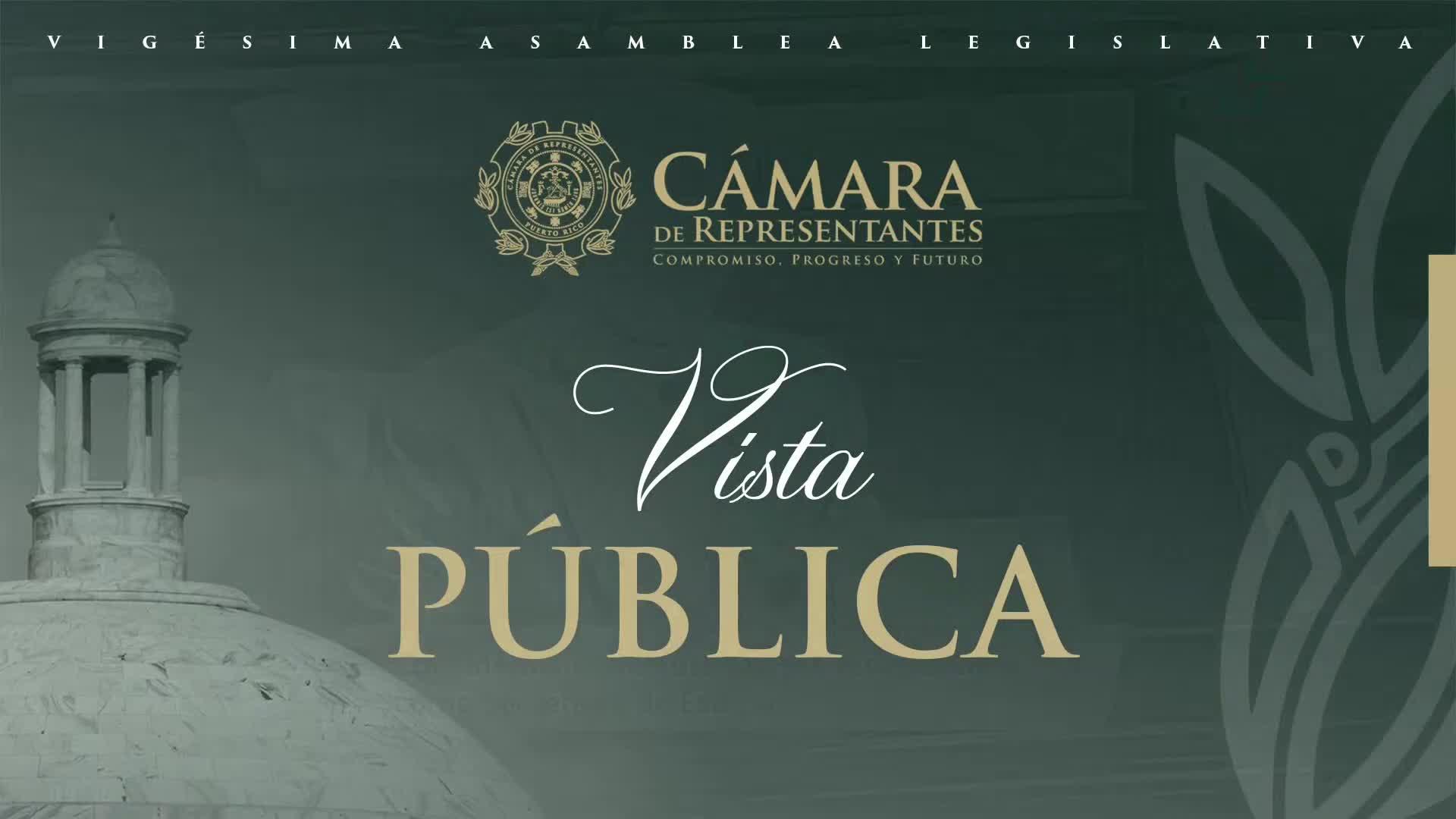 Puerto Rico Senate swears in Rosa Cheli Rivera Santana as Secretary of State