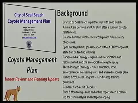 Seal Beach updates coyote management plan emphasizing education and community engagement
