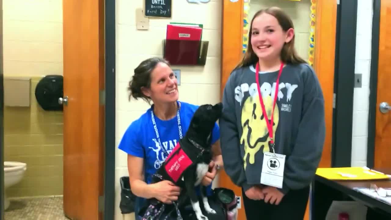 Rescue dog Neesa finished nearly a year of training to work in school visits, handler says