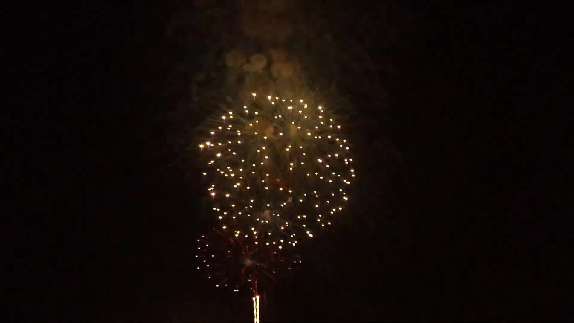 Plano animal shelter spotlights 9-month-old German shepherd Jordy