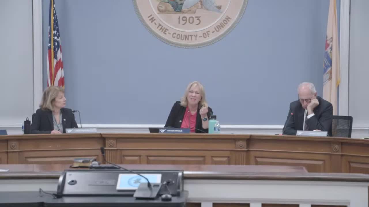 Council discusses Lord and Taylor site development amid financial concerns