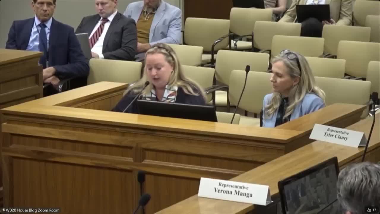 Utah reviews adoption laws amid concerns over paternal rights and ethical practices