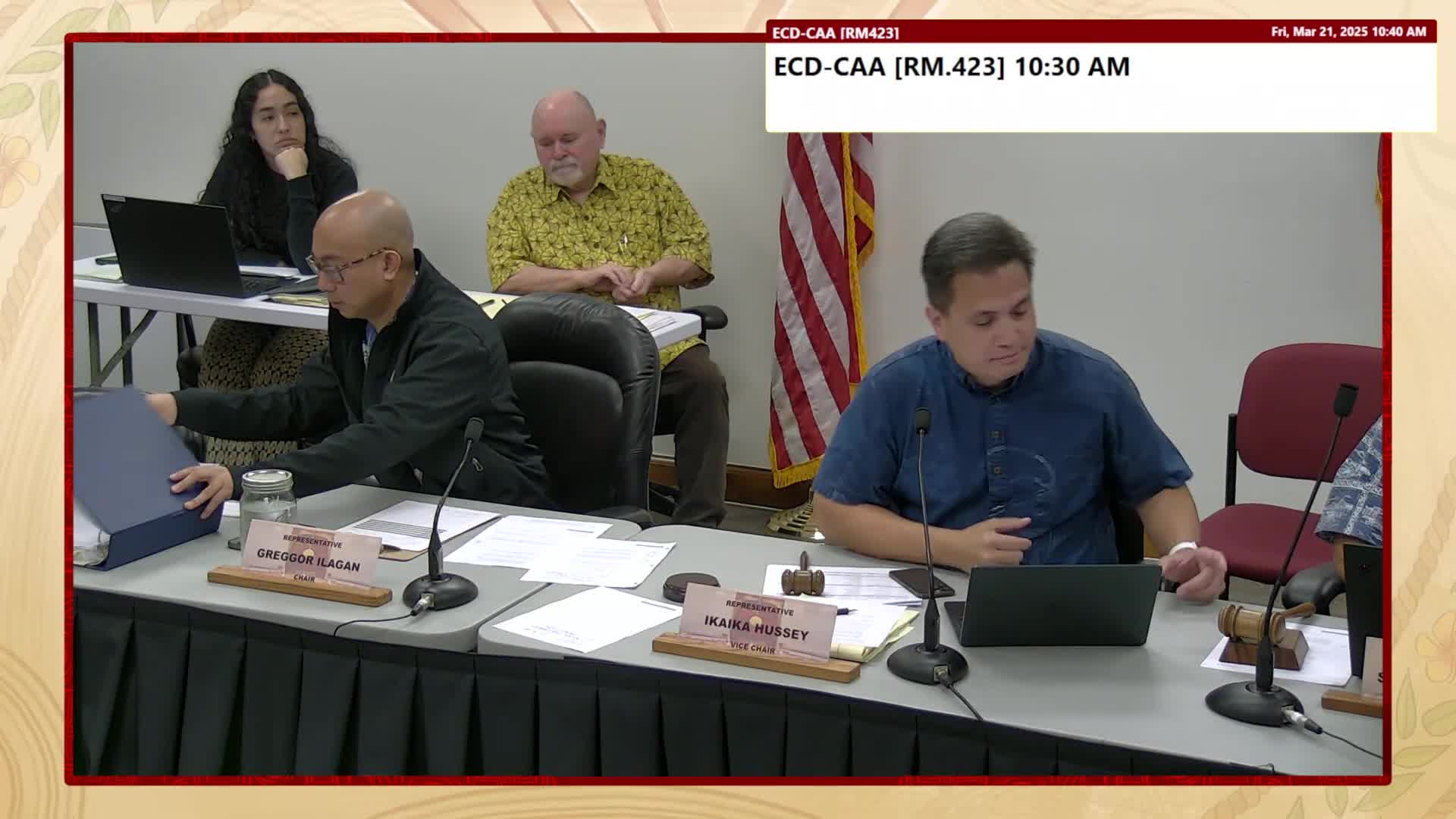 Committee opts for MOU language, not a "sister state" framework, for New Zealand outreach