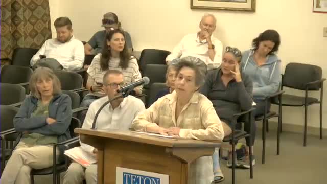 Professor Gottlieb calls for expert consultants on urban planning for Teton Pass