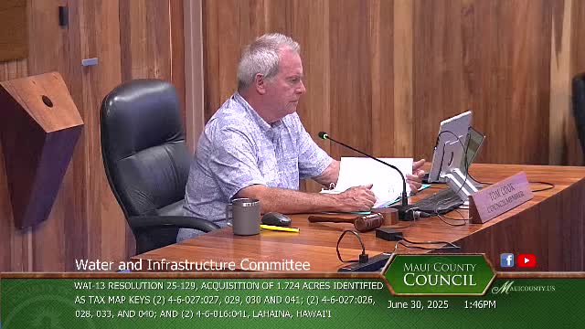 Director outlines Dickinson Street development as critical evacuation route near Lahaina Bypass