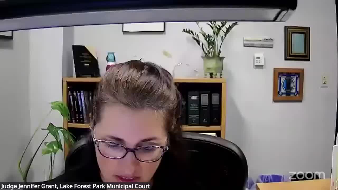 Driver fined $150 for lacking proof of insurance during traffic stop