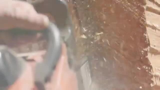 City arts representatives and carver discuss turning declining Pioneer Park cedar into 'Nature's Throne'