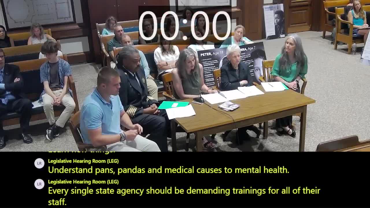 Massachusetts legislators discuss urgent mental health bill for children's care improvement