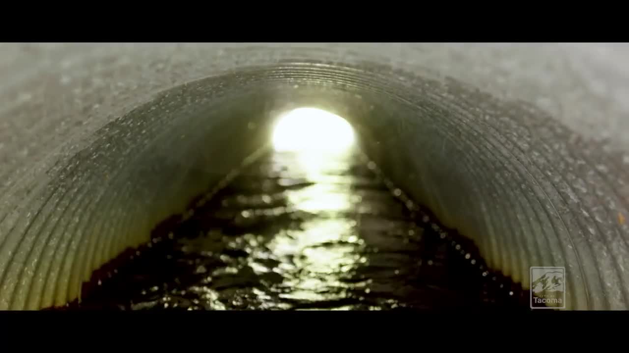 Tacoma partners with artists to raise awareness about stormwater pollution