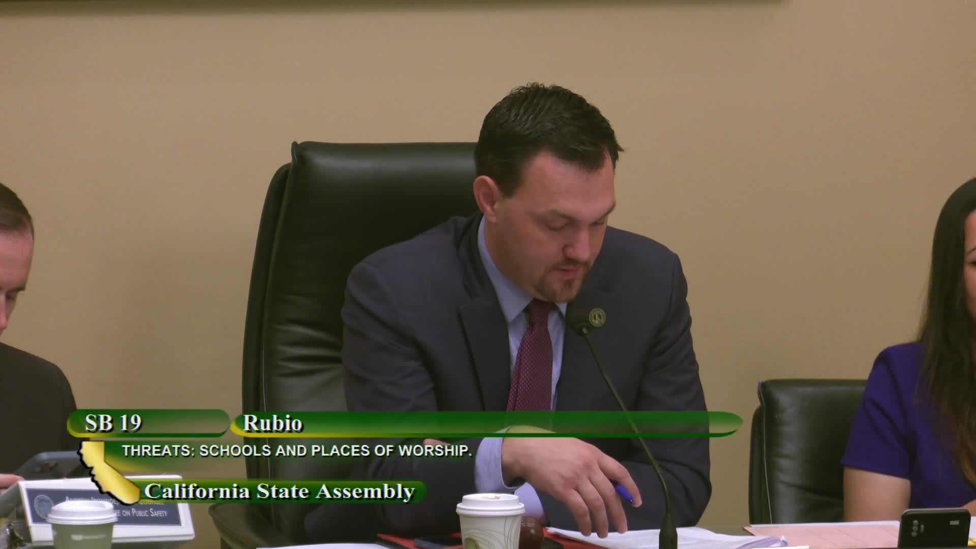 Senate committee advances SB 19 by Senator Rubio addressing systemic legal disparities