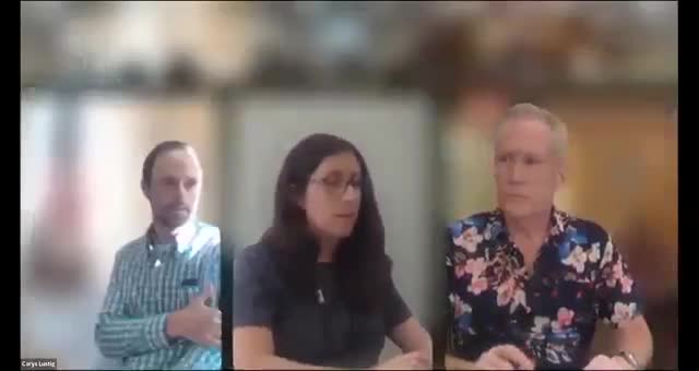 Needham working group asks consultant for three downtown design options; grant, parking and safety debated