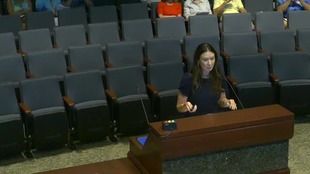 City Council approves $512K for expanded Christmas median lighting