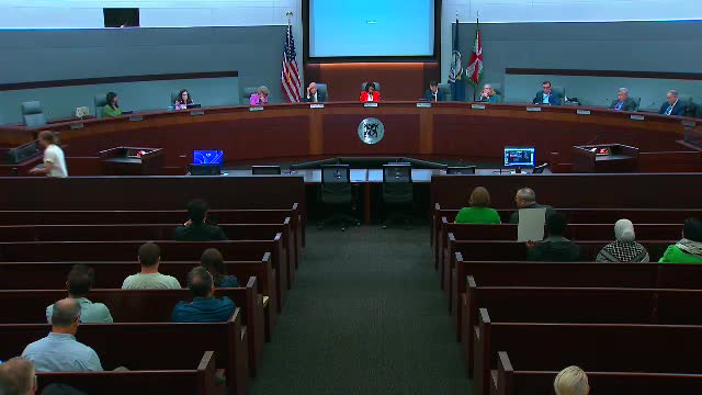 Pastor Michelle Thomas addresses Little River District speakers during virtual session
