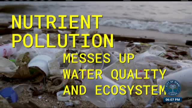 Miami promotes foam free parks while addressing nutrient pollution and water quality