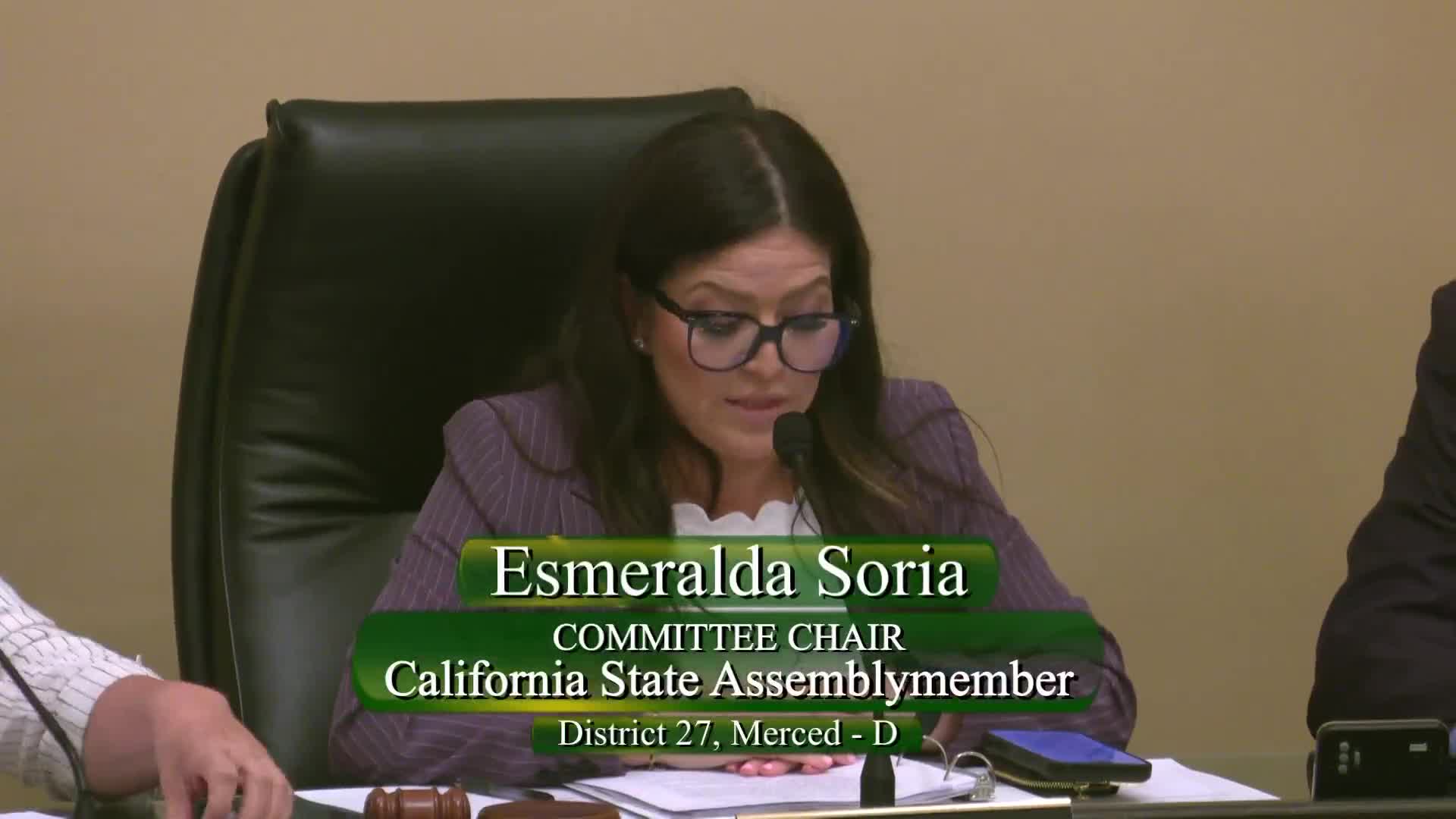 Senator Rubio presents Food Affordability Act in Assembly hearing