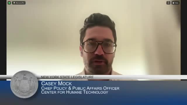 Tech companies face scrutiny over lack of accountability for AI harms