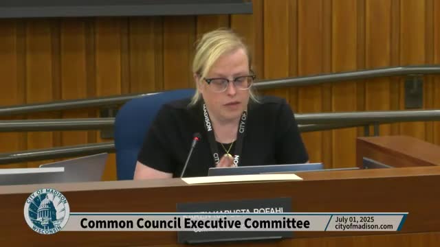 Common Council considers new meeting formats for improved legislative efficiency