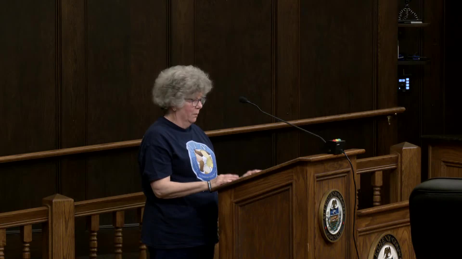 Resident urges council to raise permit fees to fully staff Allegheny County Health Department