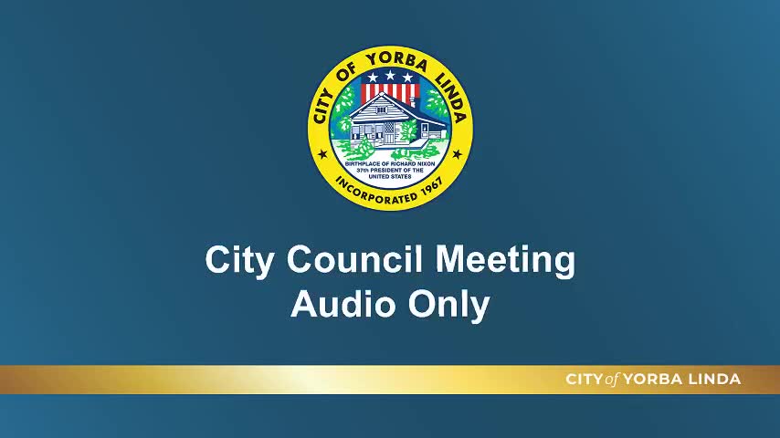 Yorba Linda holds economic development workshop to boost sales tax, retain tenants and streamline permitting