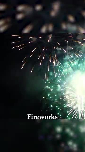 Tracy Animal Services shares pet safety tips for Fourth of July fireworks