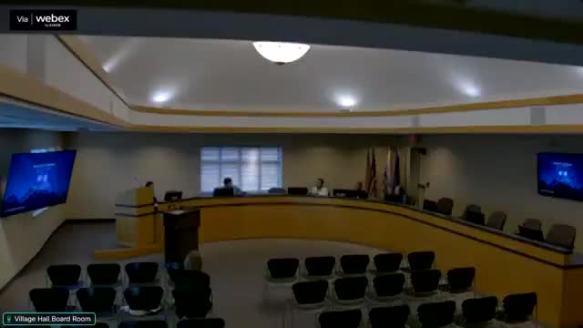 Economic Development Board proposes village beautification with lights and flowers