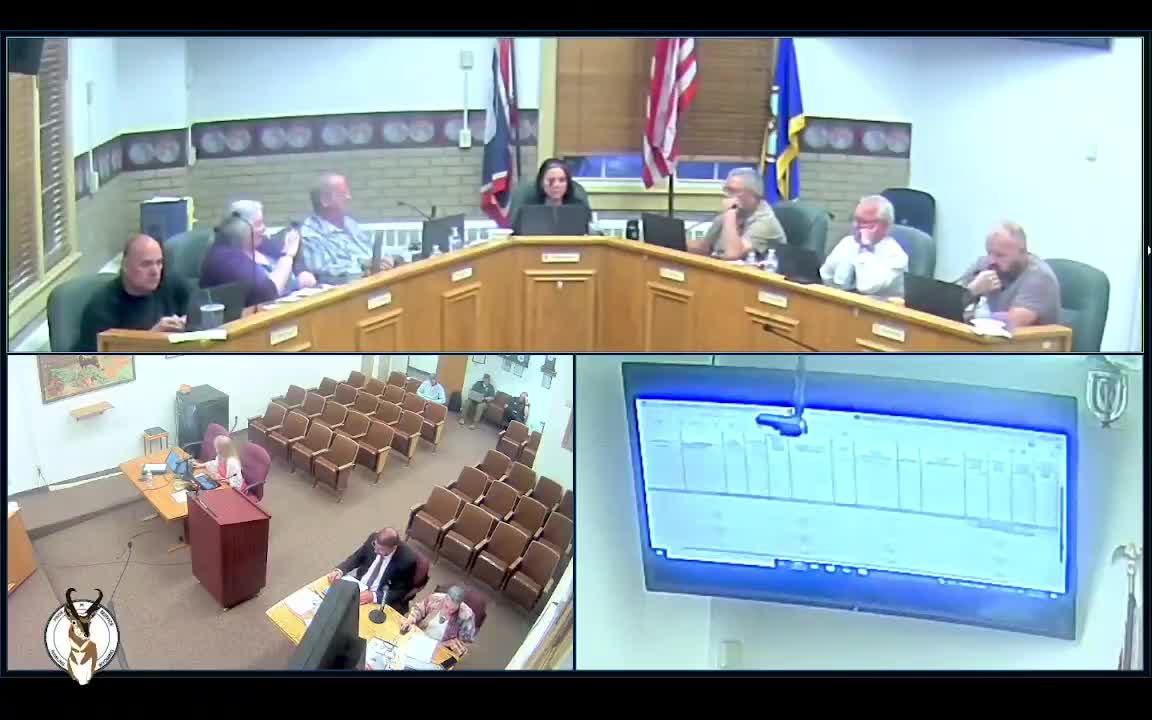 Council adopts policy allowing concealed carry by eligible city employees with restrictions; two council members dissent