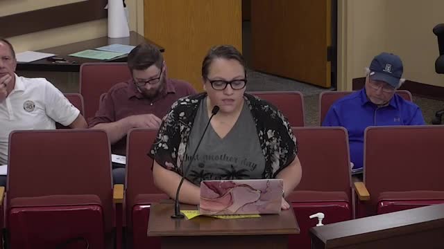 Residents urge city to limit Kittery Cove development amid drainage and traffic concerns