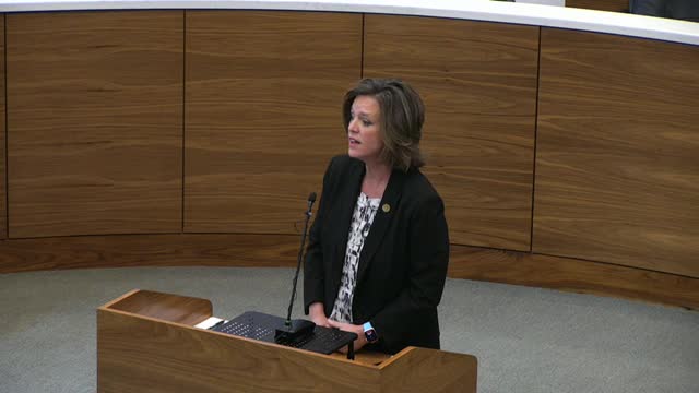 Local leaders advocate proactive flood prevention measures for community resilience