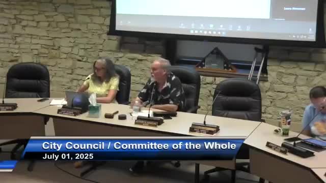 Council favors education, voluntary safety programs over ordinance for e-bikes and e-scooters