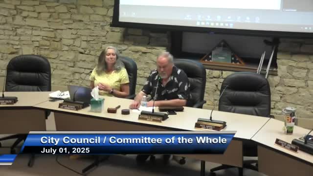 Batavia City Council advances public safety video surveillance policy discussion