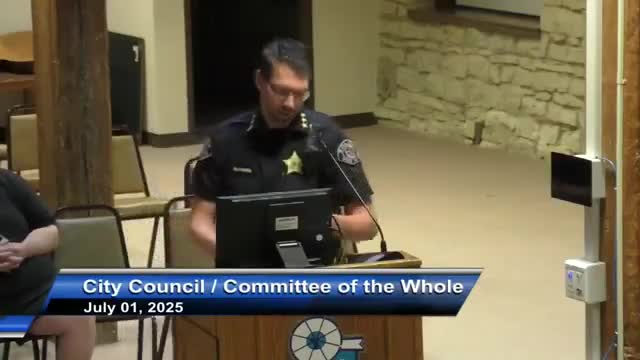 Police present public-safety surveillance policy; committee clears policy for issuance after annual-audit provision and community meetings