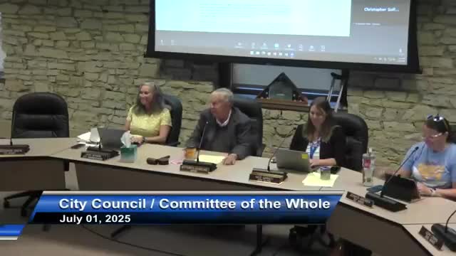 City council approves resolutions seeking Rebuild Illinois funds for four infrastructure projects