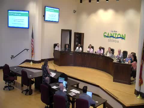 Council reviews four concepts for West Main Street pedestrian bridge project