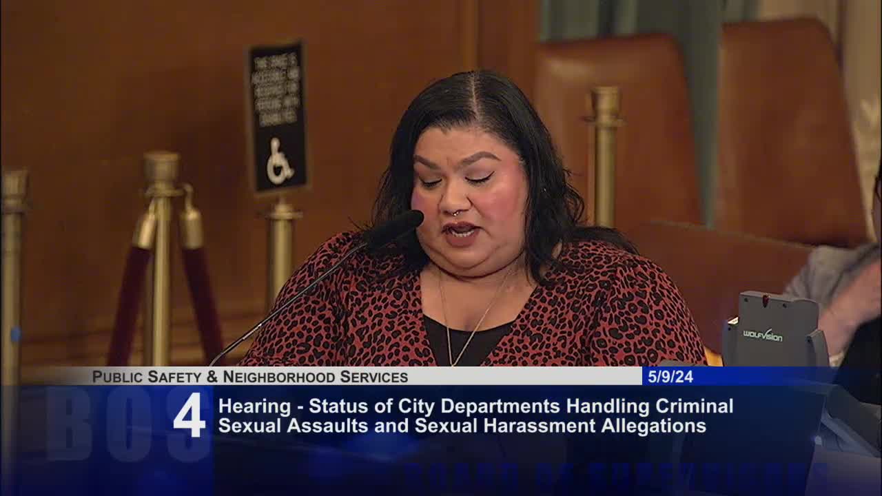 Local committee emphasizes violence prevention and survivor support initiatives