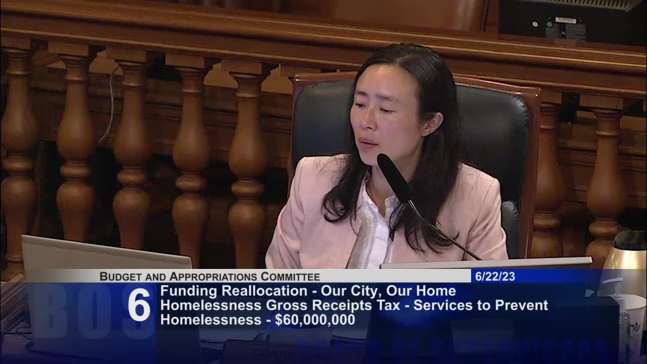 Supervisor Ronan advocates for youth homelessness funding during budget discussions